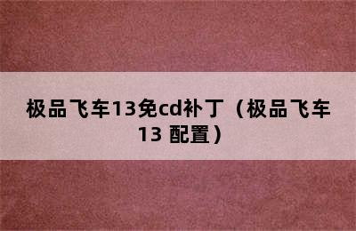 极品飞车13免cd补丁（极品飞车13 配置）